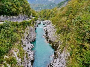 Slovenia's picture postcard Soca River is famous for it's world class sight fly fishing and, in lower reaches, the stunning marble trout.