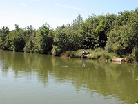 Eery Lake at White Acres