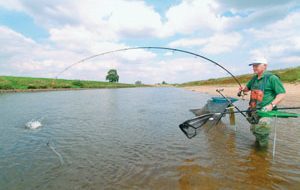 Commercial fishing - Jackfield