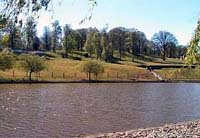 Stuarts Lake, Shatterford