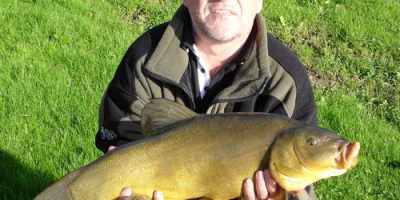 10lbtenchweb.jpg