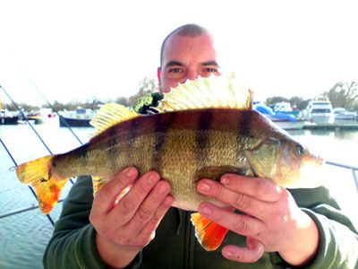 7lbperch.jpg