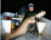 CATFISHready.jpg