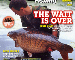 COVER.gif