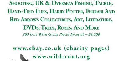auction2007catweb.jpg