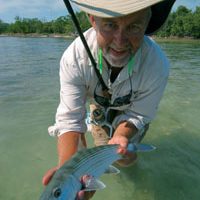 fishthedreambonefish.jpg