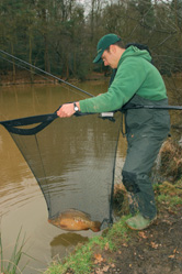 carpy10.jpg