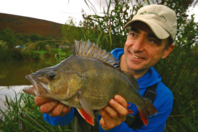 The Pike Pool: Targeting Big Perch