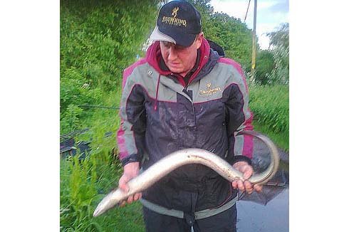 6lb 6oz eel from Upton Warren Pool