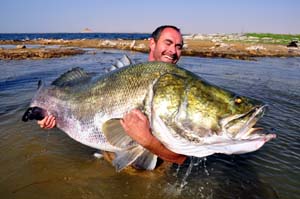 Lake Nasser Nile Perch