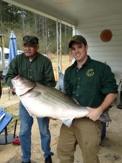 Massive Alabama Striped Bass Set For World Record – Total Fishing