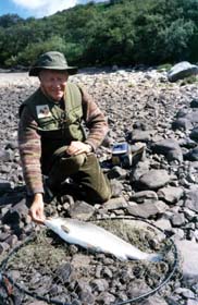 Loch Hope sea trout. 