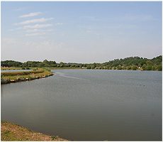 larfordspecimenlake.jpg