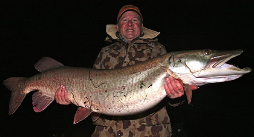 Potential record Muskie