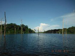 Things to do in Manaus - fishing at Lake Balbina