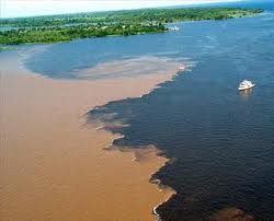 Things to do in Manaus - the meeting of the waters