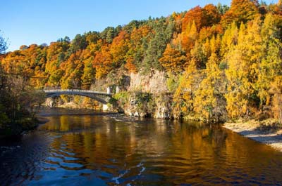 Fishing on the River Spey