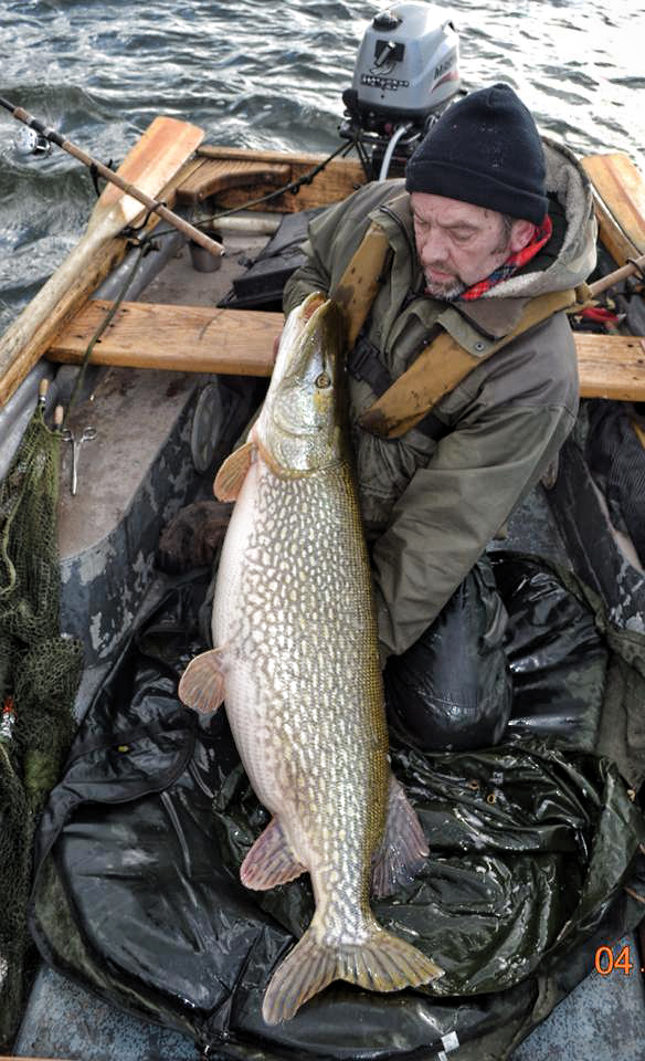 42lb pike caught in 2015 Chew Reservoir trials