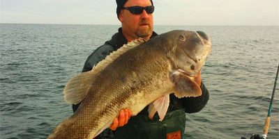 world-record-tautog-blackfi.jpg