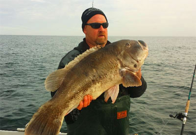 world-record-tautog-blackfi.jpg