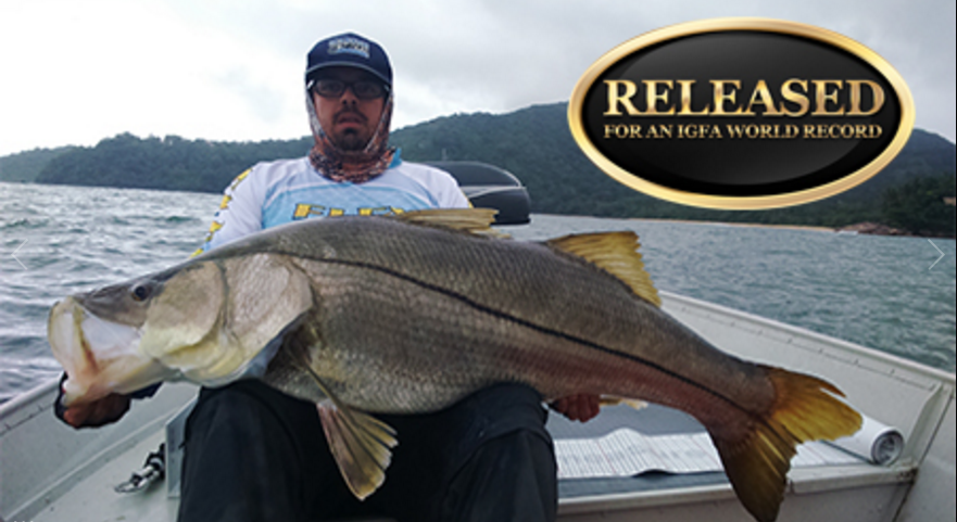 World record snook claim – Total Fishing