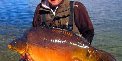 60lb-carp-from-Cambridgeshi.jpg