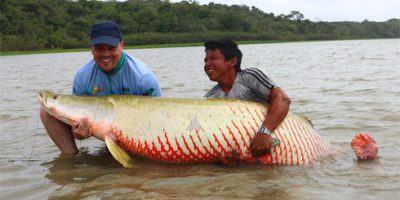 Kev-arapaima-4900.jpg