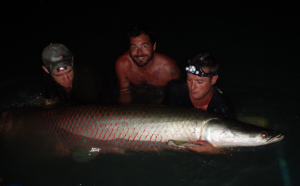 Not bad for your first arapaima - a beauty going around 240lb - now to catch one in the wild!