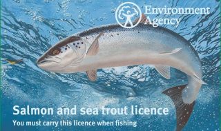 The 2017 salmon fishing rod licence.