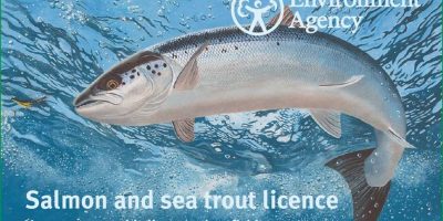 The 2017 salmon fishing rod licence.