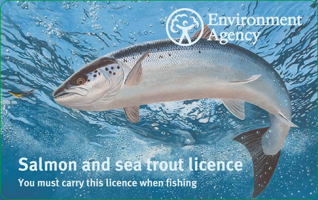 The 2017 salmon fishing rod licence.