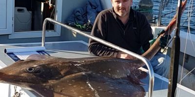 157lb skate from Clew Bay.