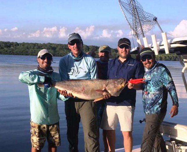 World record whitefin corvina