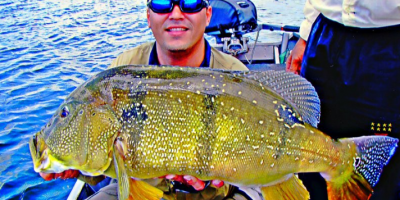 A big peacock bast from the best Amazon fishing destination