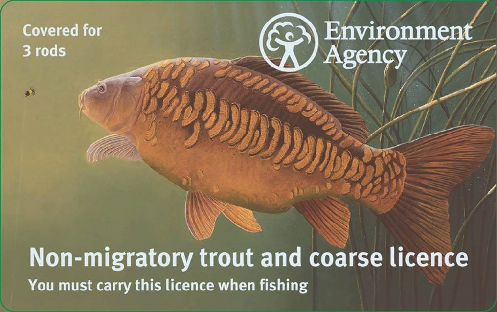 Mirror carp 3 rod fishing licence