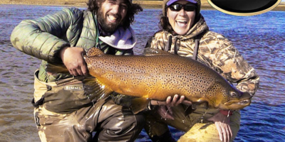 Brown trout Tierra Del Fuego