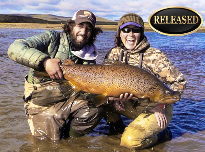 Brown trout Tierra Del Fuego