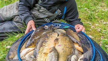 Tony Curd Match Angler 2017