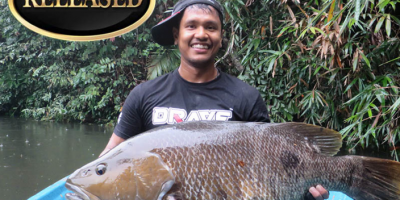 freshwater snapper world record