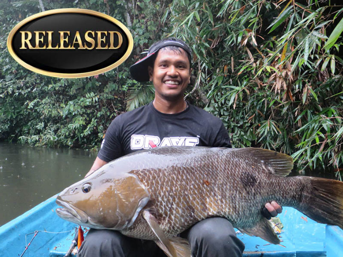 freshwater snapper world record