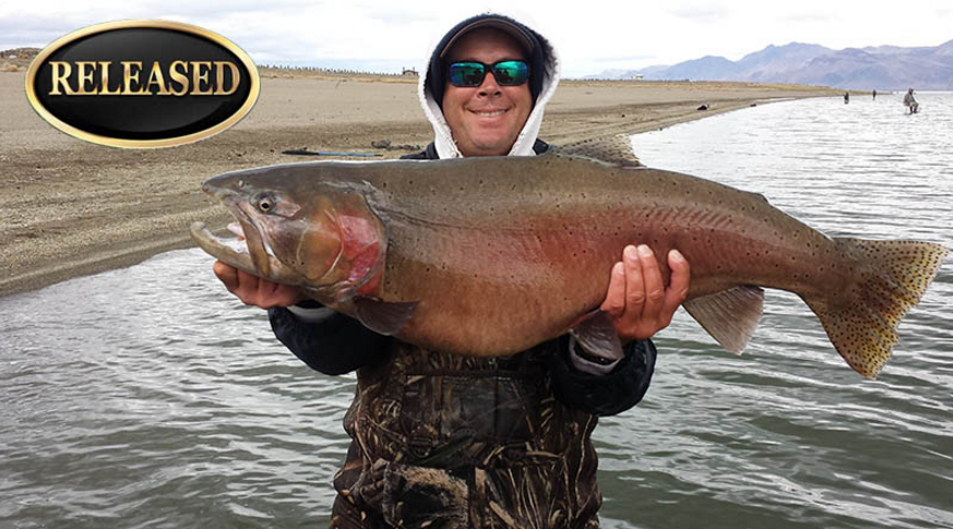 world line class cutthroat trout record