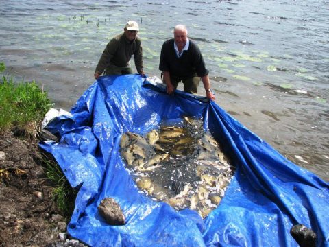 Melview Lodge bream haul