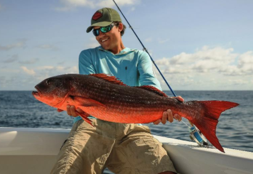 mullet snapper world record