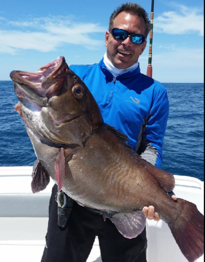 world record star studded grouper