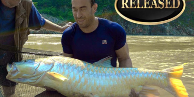 world record golden mahseer