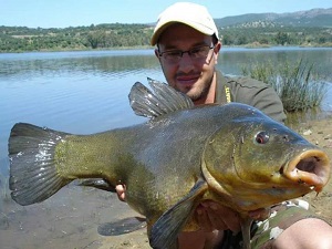 A mighty 15.8lb tench to David Aldana from a public water in Spain.