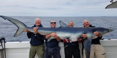 British blue shark record 2017