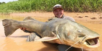 Martin Content 170lb Amazon Jau Catfish