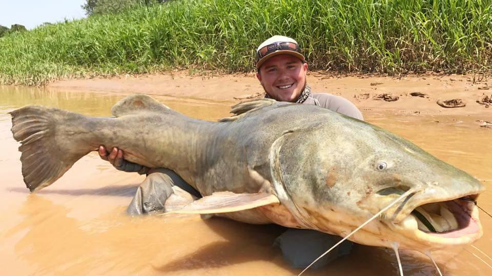 Martin Content 170lb Amazon Jau Catfish