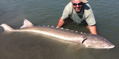 Sturgeon fishing on the Fraser River, British Columbia